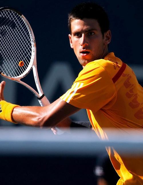 的主题引人 的主题引人